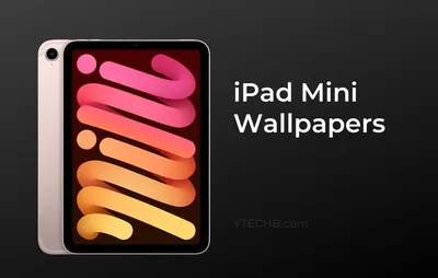 iPad mini 6: First Impressions — Cameo Pro Consulting