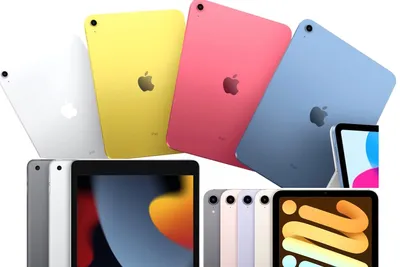 Dux Plus for iPad mini (6th gen) - STM Goods USA