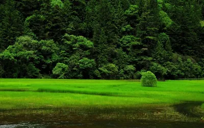 Картинки красивые природы на весь экран на сотовый андроид (69 фото) »  Картинки и статусы про окружающий мир вокруг