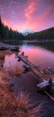 Красивые Картинки На Андроид Природа – Telegraph