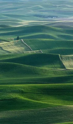 Обои природа, облако, атмосфера, растение, свет на телефон Android,  1080x1920 картинки и фото бесплатно