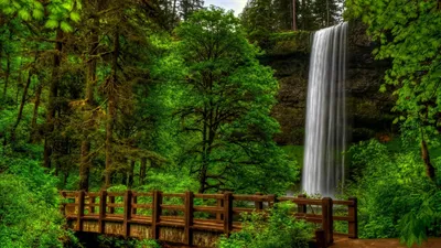 Красивая природа обои на телефон [23+ изображений]