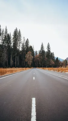 Обои андроид, бесплатные, раздел Природа, размер 1440x2960 - скачать  бесплатно картинку на рабочий стол и телефон
