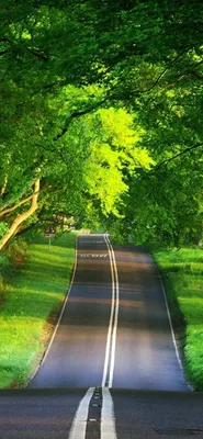 2000+ Природа - обои на рабочий стол HD | Скачать Бесплатно картинки