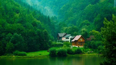 Обои на телефон природа, скачать картинки природы | Zamanilka