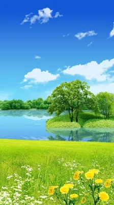 HD природа обои на телефон [23+ изображений]