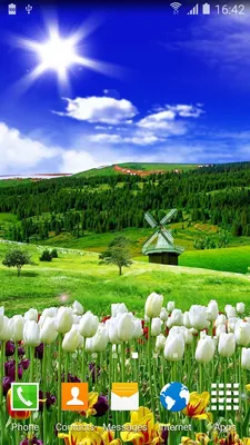 Обои Ромашки, 5k, 4k, цветы, весна, Daisies, 5k, 4k wallpaper, flowers,  spring, ОС #5507 - Страница 21