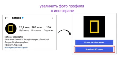 Аватарки для актуального в инстаграм для девушки в одном стиле - фото и  картинки abrakadabra.fun