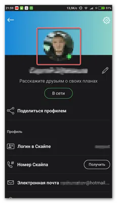 Прикольная аватарка для скайпа с пчелой. | Смешные рисунки, Фотографии  животных, Иллюстрации