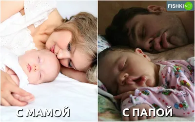 Позитив. Приколы. Юмор. | Записи в рубрике Позитив. Приколы. Юмор. |  Дневник Александр Док : LiveInternet - Российский Сервис Онлайн-Дневников