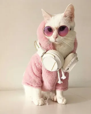 Картинки милых девушек аниме на аву