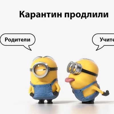Психологический портрет по аватару. По каким признакам люди выбирают себе  аватарки. | ⚜Ведьмины заметки⚜ | Дзен