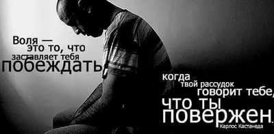 Картинки со смыслом для мужчин (68 фото) » Юмор, позитив и много смешных  картинок