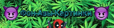 В УКРАЇНІ! КОНОПЛІ ВРЯТУЮТЬ ЛІС ВІД ВИРУБКИ, НАЦІЮ ВІД ВИМИРАННЯ! - Зелена  екологічна партія України «Райдуга»