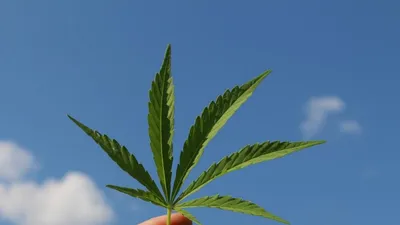 Обои [Green][2560x1600] » uCrazy.ru - Источник Хорошего Настроения