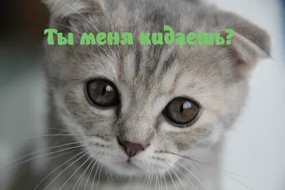 Юмор за день и хорошее воспитание | Mixnews