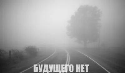 А потом удивляются, что это вдруг их весь мир ненавидит :  r/tjournal_refugees