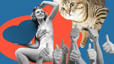 решила сфоткаться на аву / смешные картинки и другие приколы: комиксы, гиф  анимация, видео, лучший интеллектуальный юмор.