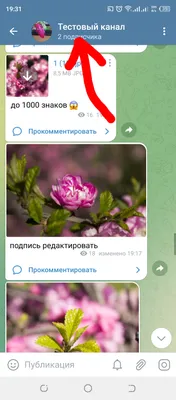 Шедеврум, сделай для меня новогоднюю…» — создано в Шедевруме