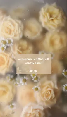 Картинки от сглаза (50 фото) » Юмор, позитив и много смешных картинок