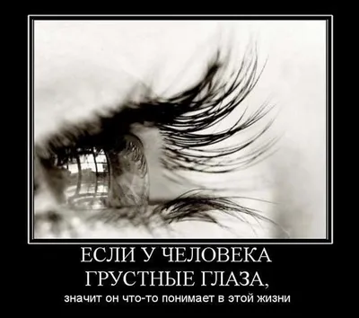 10 фактов о романе «Светлая печаль Авы Лавендер» (18+) Лесли Уолтон,  которые вы не знали 🕊 1. Этот роман.. | ВКонтакте