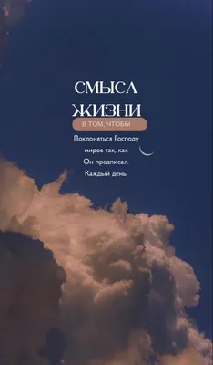 мем #мудрец #рофл #юмор #рекомендации | TikTok