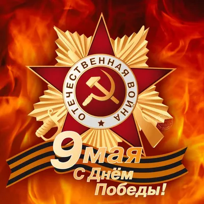 Картинки статус для whatsapp природа (67 фото) » Картинки и статусы про  окружающий мир вокруг