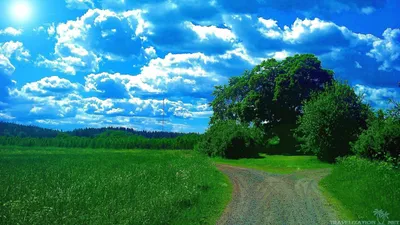 Фон рабочего стола природа лето - 70 фото