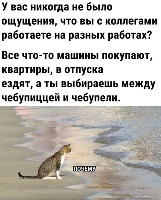 Цитаты | Юмор о работе, Цитаты, Поделки