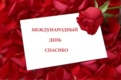 Последняя часть😊#ЖелайтеСмело #ники #соцсети #americangirl #рекоменда... |  TikTok