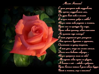 Полное собрание сочинений. Том 53