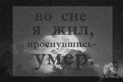Картинки с надписью можно я умру (50 фото) » Юмор, позитив и много смешных  картинок