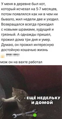 Фото и Картинки «Меня больше нет»