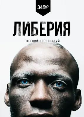 авы доги умер｜TikTok Search