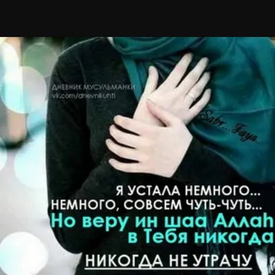Сабр обои на телефон - 65 фото