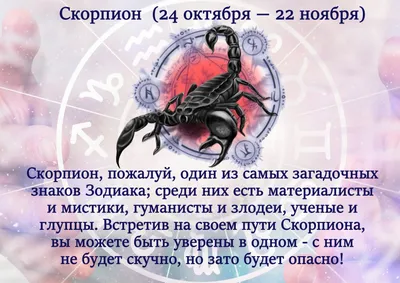 Классные картинки скорпион на аву - подборка