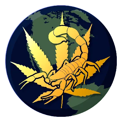 Скорпион на аву - фото и картинки abrakadabra.fun