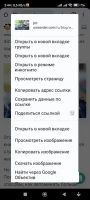 Как легко скачивать любые картинки в интернете