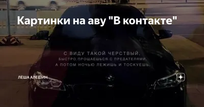 Крутые картинки в вк (48 фото) ⭐ Юмор, картинки и забавные фото | Картинки,  Забавные фото, Забавности