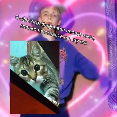 Ацениваю авы из лайка ➡\"годно-гавно\" ᐈ baz17 (@baz17) | Yappy