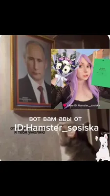Как заменить фон на видео для TikTok и Likee. Меняем фон для видео в  TikTok. - YouTube