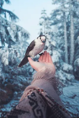 Авы для одиноких девушек - фото и картинки abrakadabra.fun