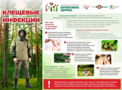 баннер. осенний пейзаж с речными деревьями и вспаханным полем в солнечный  день. широкая панорама осенней природы Стоковое Изображение - изображение  насчитывающей облака, листья: 216932759