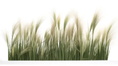 Заливки для photoshop - Винтажные розы на прозрачном фоне » Photoshop  Styles, Стили для Фотошопа