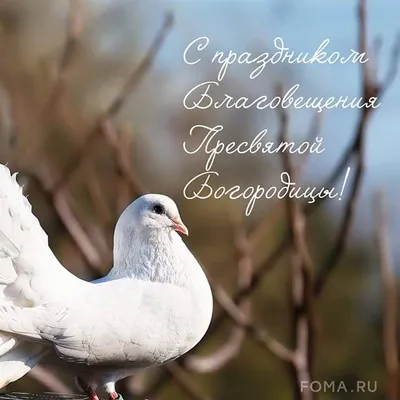 7 апреля — Благовещение Пресвятой Богородицы!!! Птица гнезда не вьет —  Девица косы не плетёт!!!: Персональные записи в журнале Ярмарки Мастеров
