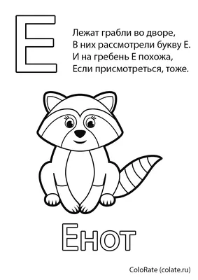Раскраска Буква Е - Енот распечатать - Буквы и алфавит