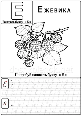 Буквы Е/Ё и звуки, которые они обозначают