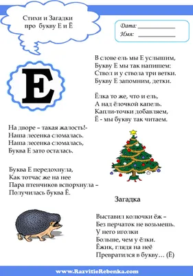 Буква Е — общие сведения, примеры, материалы для изучения