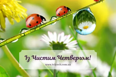 Чистый четверг” онлайн – Музей-заповедник “Сользавод”