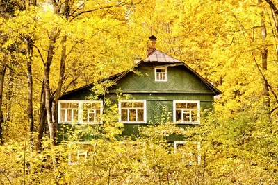 Почему огород может быть не выгоден: 5 причин почему не стоит выращивать  овощи и фрукты